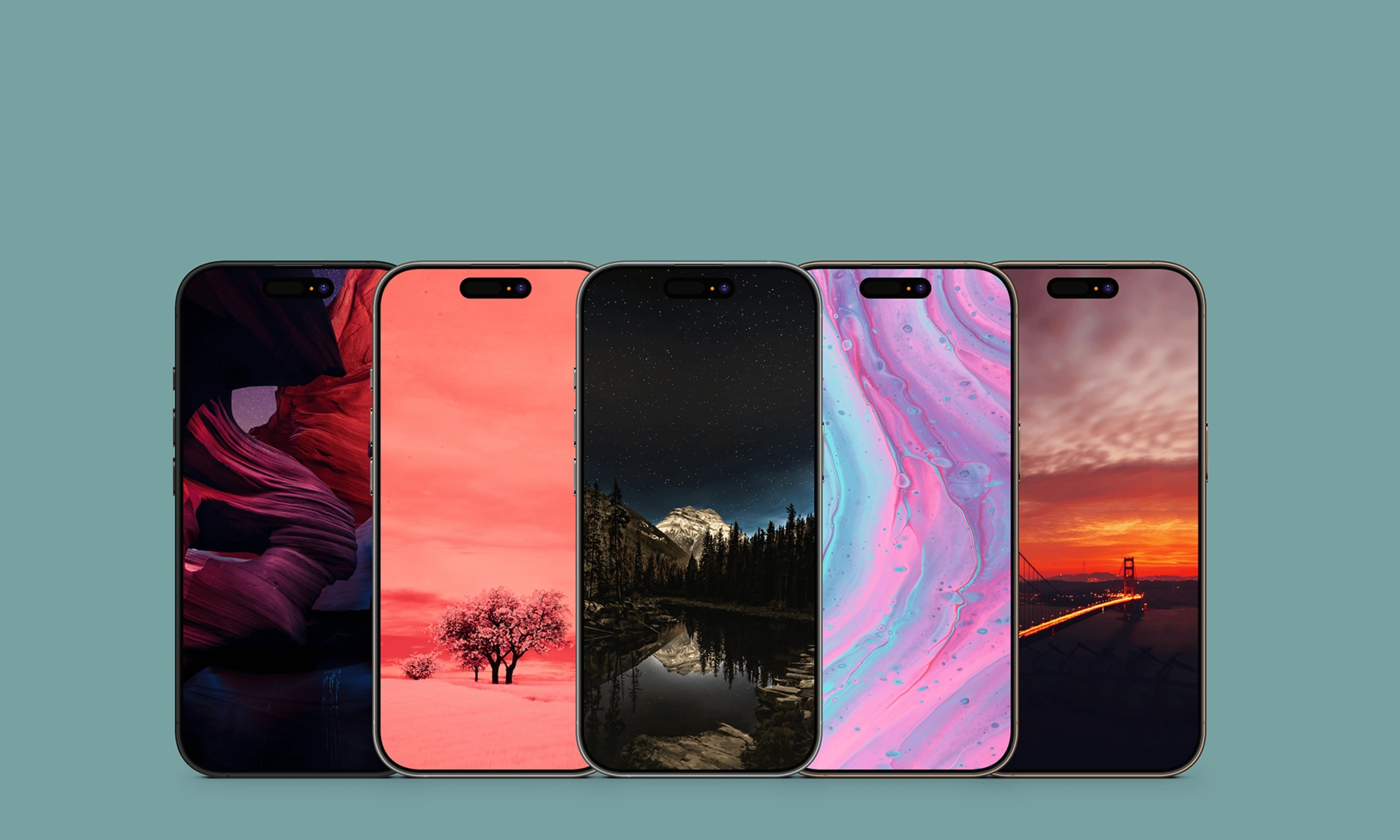 iPhone Screen Repair in Auckland